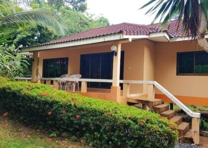 Desain Rumah di Lahan