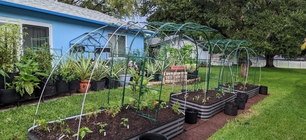 Memanfaatkan Halaman Luas di Desa untuk Kebun dan Taman