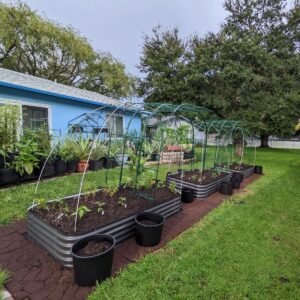 Memanfaatkan Halaman Luas di Desa untuk Kebun dan Taman