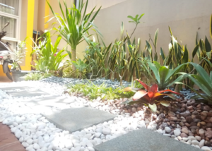Rumah dengan Taman Kering: 
