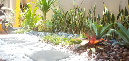 Rumah dengan Taman Kering: